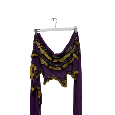 Belly Dancing Hip Scarf Purple & Gold 
