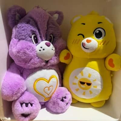 Carebears Funshine Bear and Bright Heart Racoon Set
