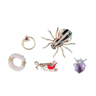 Women’s vintage Brooch collection (5) 
