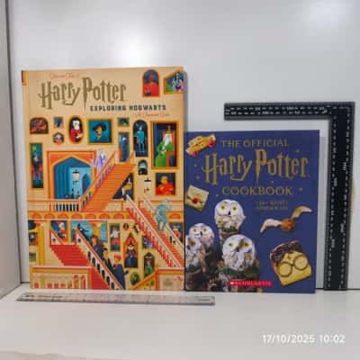 Harry Potter Book Duo 