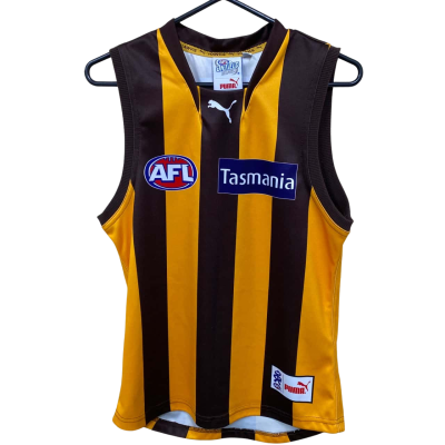 Puma Mens AFL Hawthorn Hawks Jersey Size S
