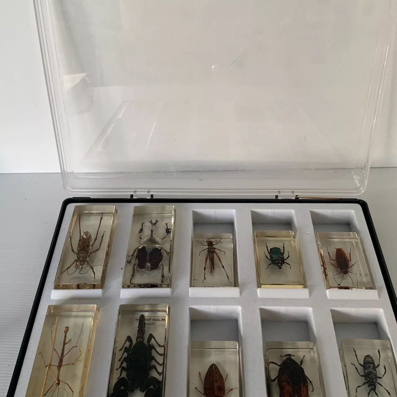 Image Tester