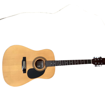 SX  ESSEX CUSTOM GUITARS 