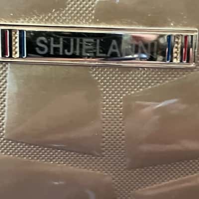  Womens Gold handbag 