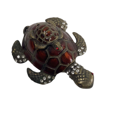 Turtle with baby