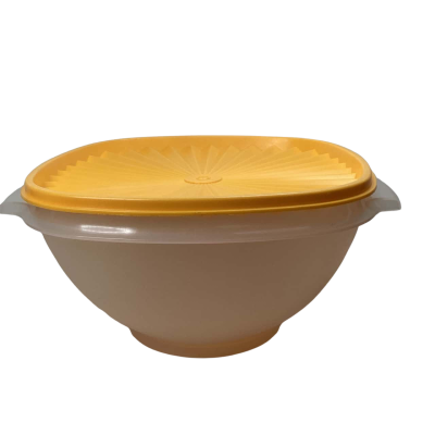 Vintage Tupperware preowned bowl with lid