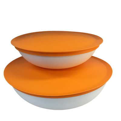 Tupperware Orange Large Round Containers with Lids