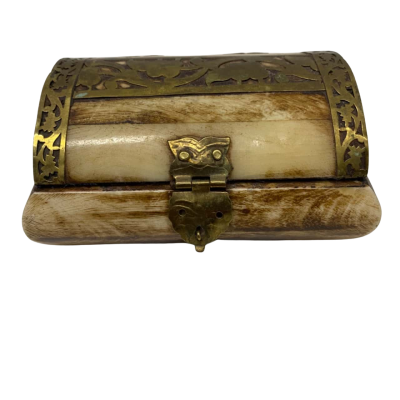 Camel Bone Brass Trinket Box