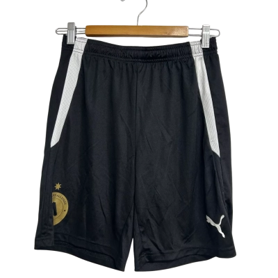 Puma Mens Size M Black Shorts