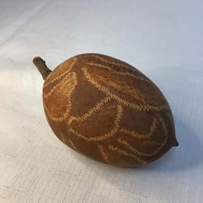 Etched Boab Nut 
