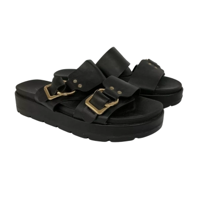 Sandler Fiction Slide Size 5B Slide Black with original box