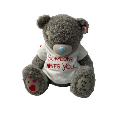 BNWT Carte Blanche Me to You Teddy Bear 45cm