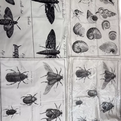 Set of 4 Cushion Covers Beetle White 50x60cm