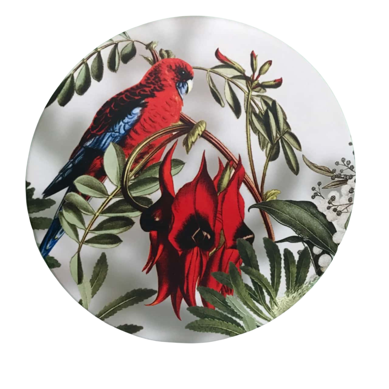 NWOT 20cm Ceramic Trivet "Desert Pea" includes Plate Stand Australiana