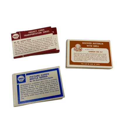 Set Of Shell Picture Cards