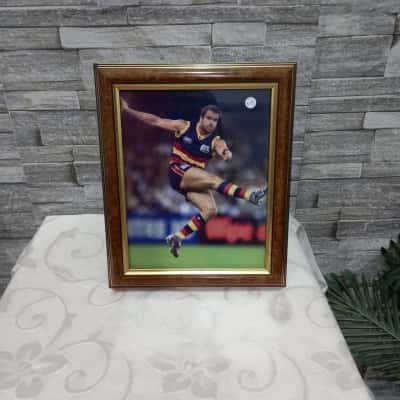 adelaide crows legend Mark ricciuto picture frame round 13 2006 AFL match 