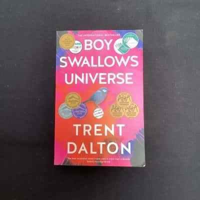 Boy swallows universe  -Tent Dalton 