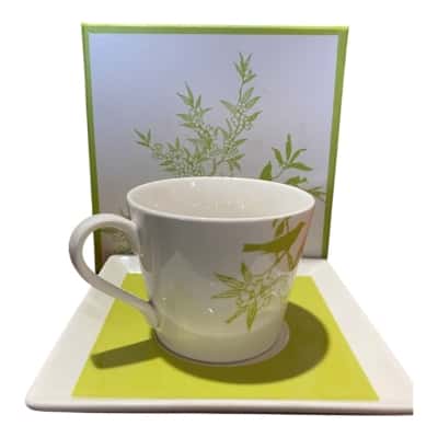 Day Dreamer cup and saucer set new 