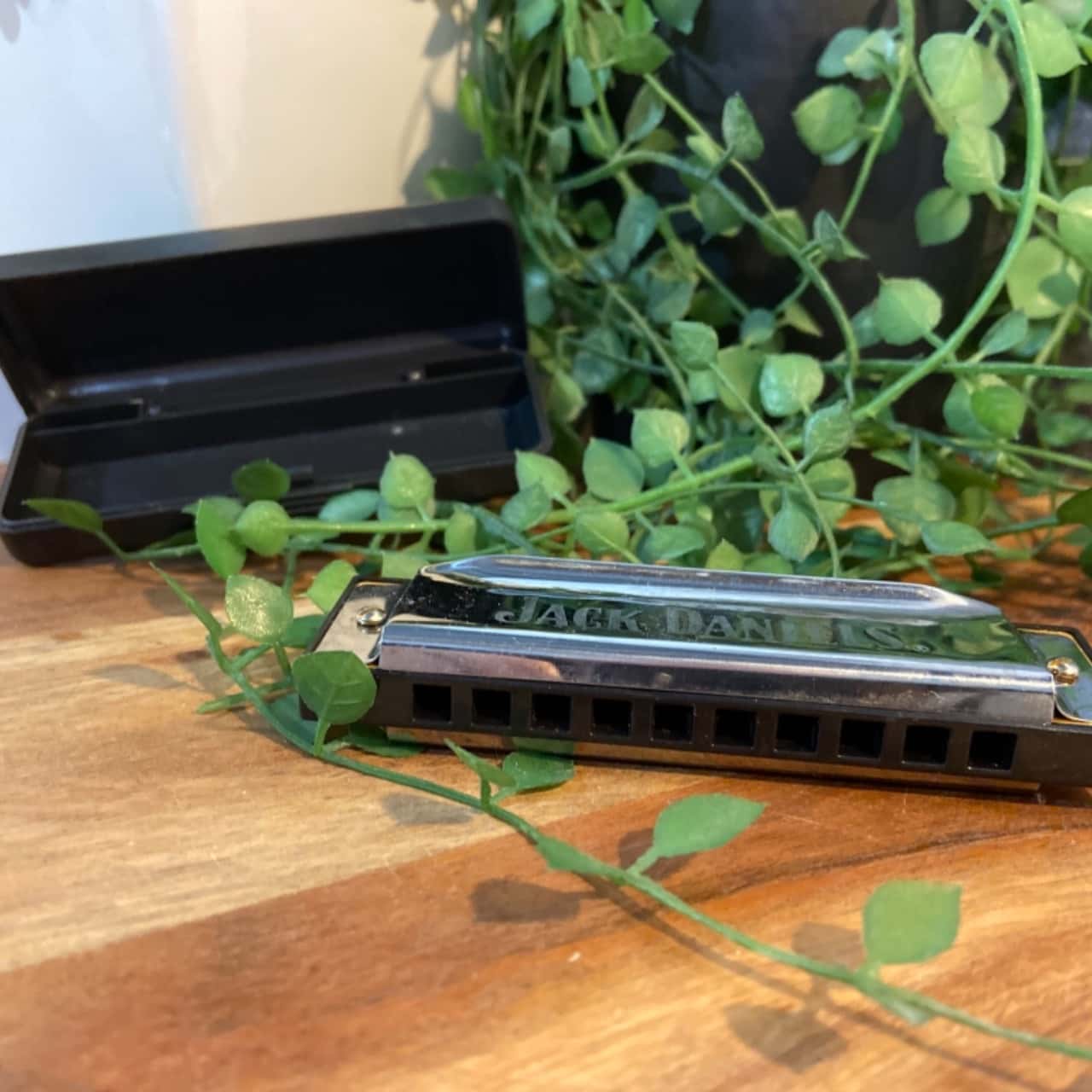 Harmonica(s)