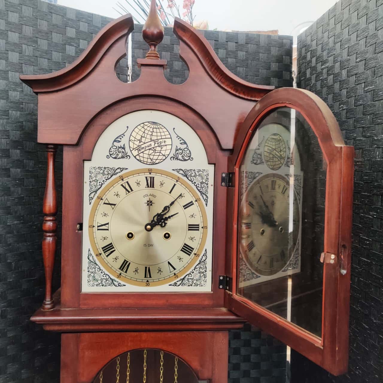 Floor Standing Grandfather Clock Polaris Brand Tempus Fugit Model