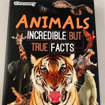 Discovery Animals: incredible but true facts