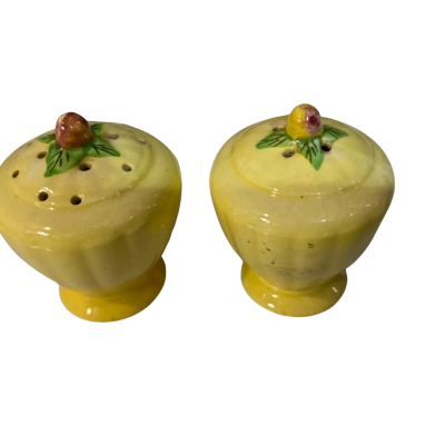 Carlton Ware Floral Salt and Pepper Shakers