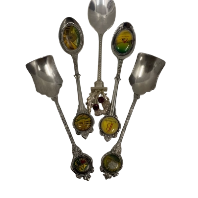 Vintage Souvenir Spoons Silver Plated 5 Pieces