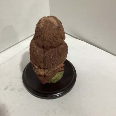 Country Artist Tawny Owl with Mouse Figurine