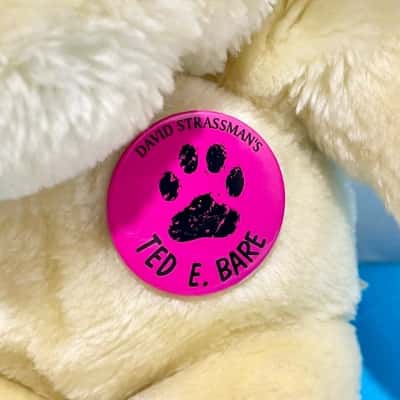 Ted E Bare White Teady Bear 