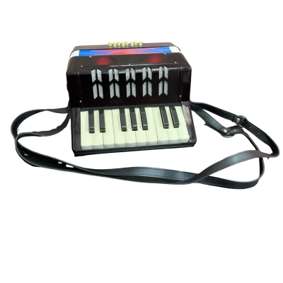Children’s 17 key, 8 bass beginners piano accordion 
