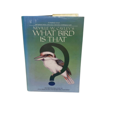 What is that Bird