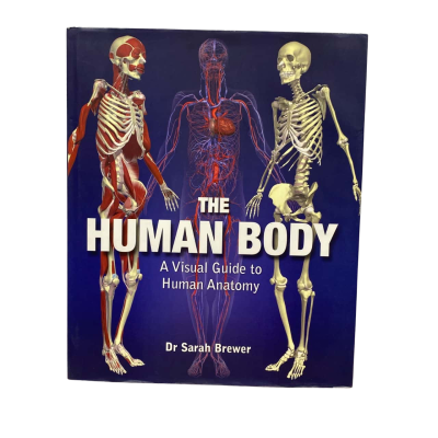 The Human Body Book 