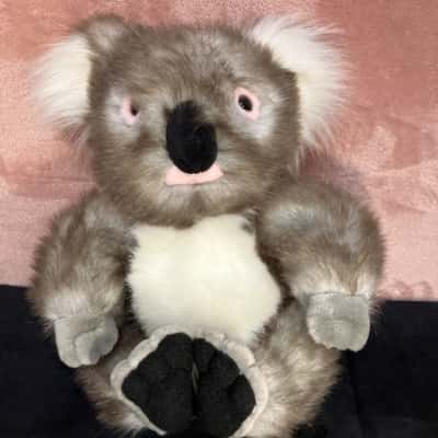 Bocchetta Plush Toys Wilber Bocchetta Bear Koala 28cm sitting