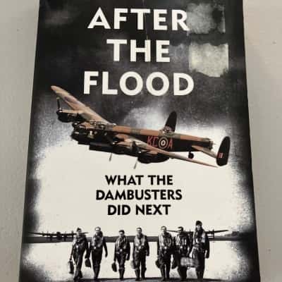 After the flood-John Nichol
