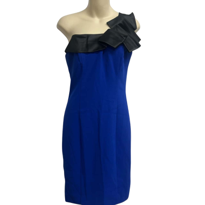 Review Size 8 Blue Dress 