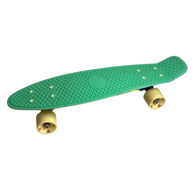 Penny 22” skateboard 