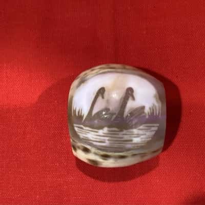 Carved Tiger Cowrie Shell