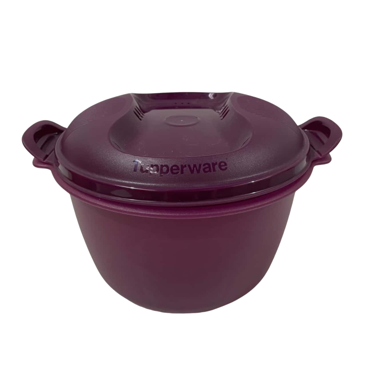 Tupperware Container Purple(s)