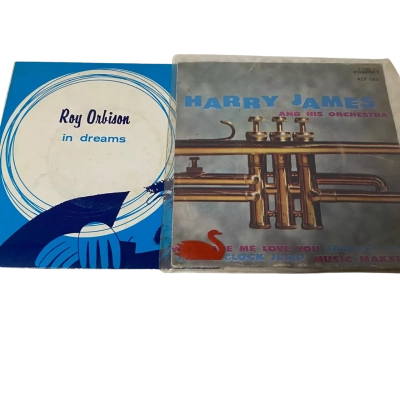 Set of 2 Vinyl Record 