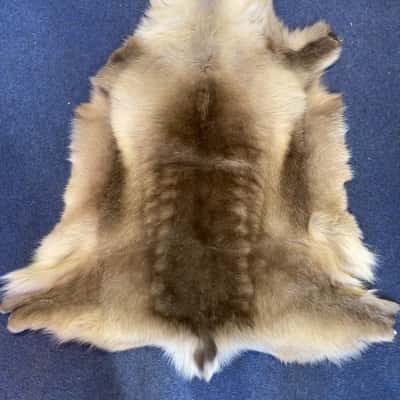 INARTISAN Reindeer hide 