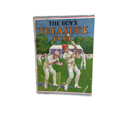 The Boys Treasure Book