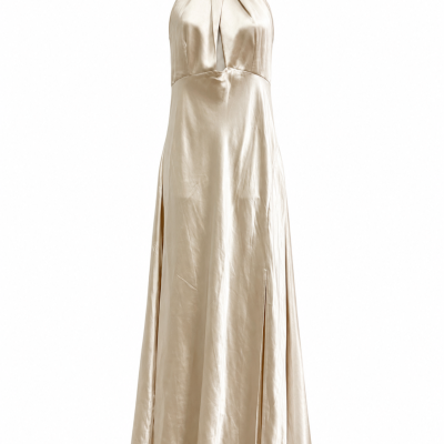Billy J Womens Size XXL Amalia Champagne Maxi Dress