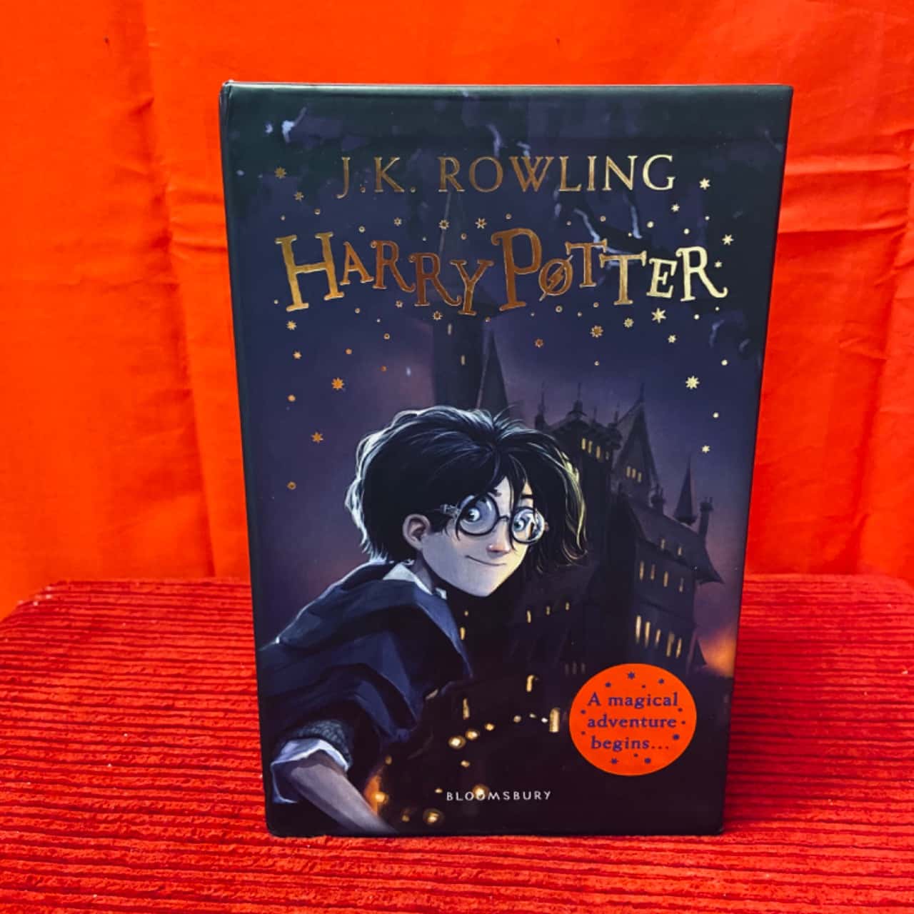 Harry Potter A Magical Adventure Begins