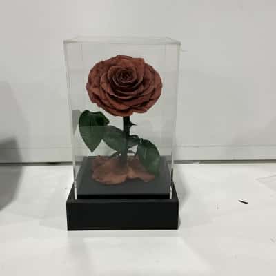 Wild Bloemen Everlasting Rose