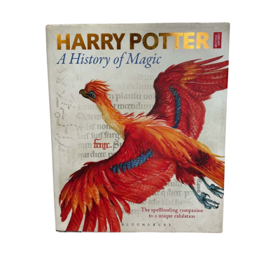 Harry Potter a history of magic book
