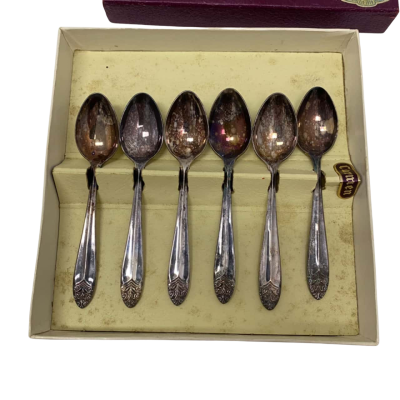 Rods Carmen 6 Piece Tea Spoon Silverware Set - Purple Box