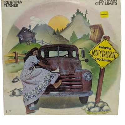 Ike and Tina Turner Nutbush City Limits vinyl