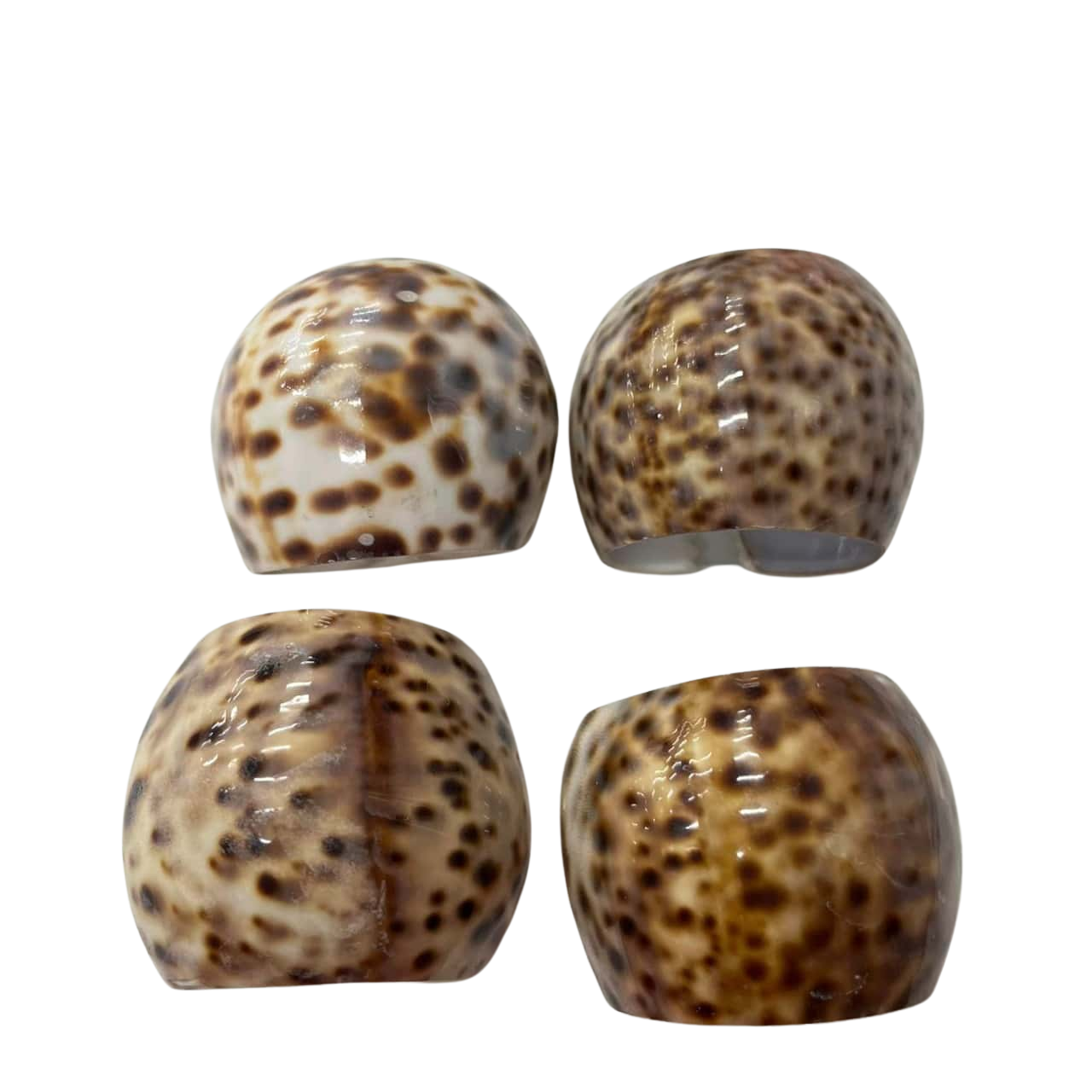 Cowrie Shell Napkin Rings x 4 - #1(s)