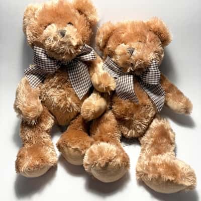Gorgeous Pair -Teddy & Friends