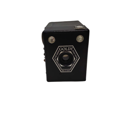 Goldstein Goldy 6x9 Camera